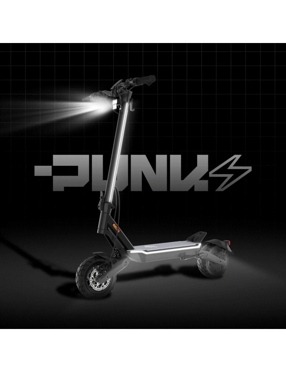 PUNK ROAMER